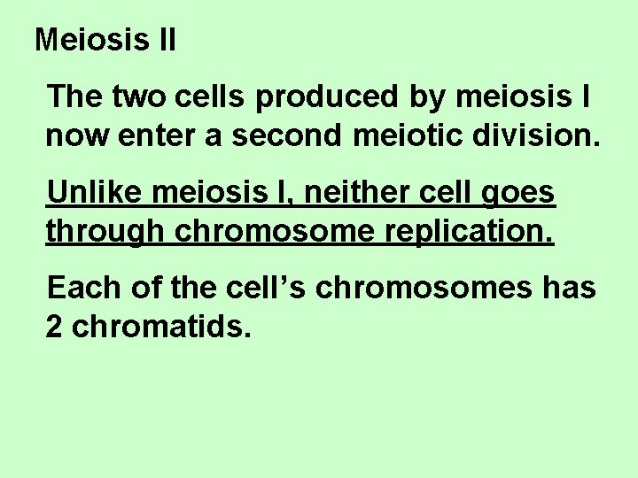 Meiosis II The two cells produced by meiosis I now enter a second meiotic