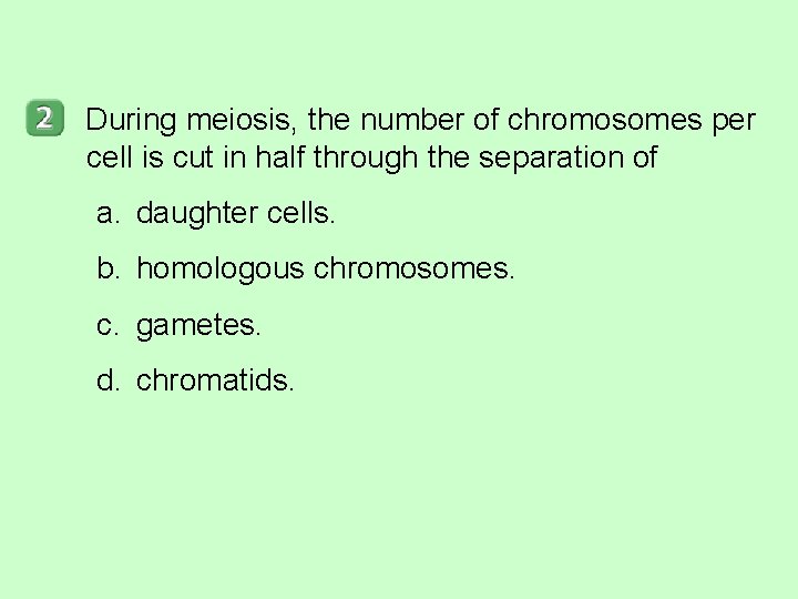 During meiosis, the number of chromosomes per cell is cut in half through the