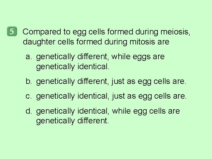 Compared to egg cells formed during meiosis, daughter cells formed during mitosis are a.