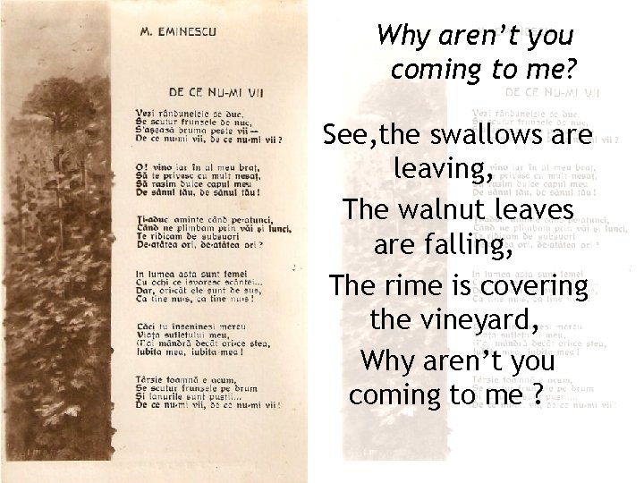 Why aren’t you coming to me? See, the swallows are leaving, The walnut leaves