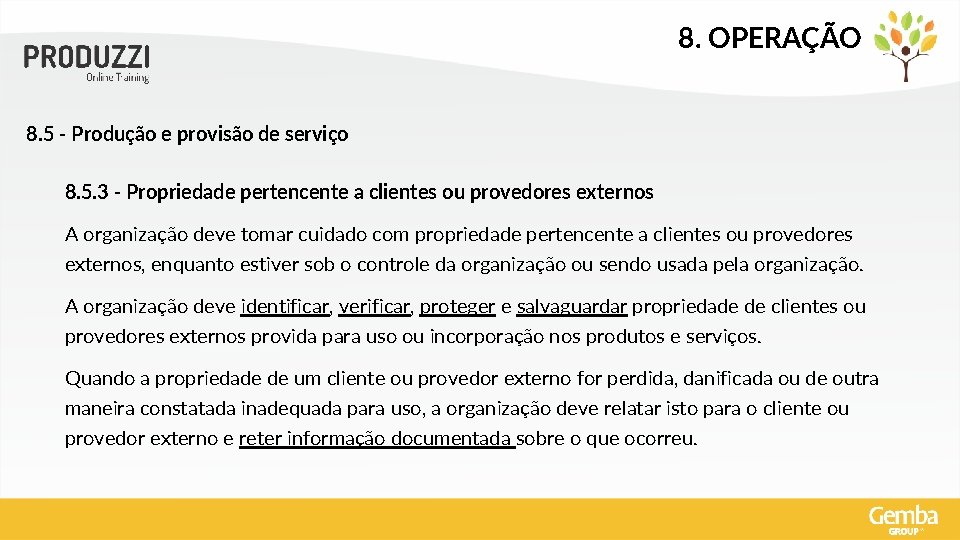 8. OPERAÇÃO 8. 5 - Produção e provisão de serviço 8. 5. 3 -