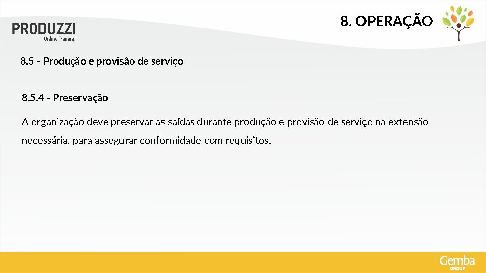 8. OPERAÇÃO 8. 5 - Produção e provisão de serviço 8. 5. 4 -