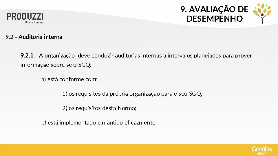 9. AVALIAÇÃO DE DESEMPENHO 9. 2 - Auditoria interna 9. 2. 1 - A