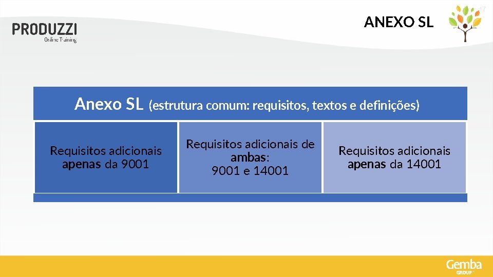 17 ANEXO SL Anexo SL (estrutura comum: requisitos, textos e definições) Requisitos adicionais apenas