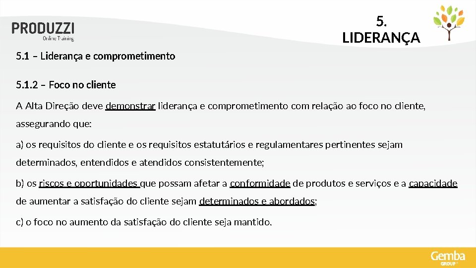 5. LIDERANÇA 5. 1 – Liderança e comprometimento 5. 1. 2 – Foco no