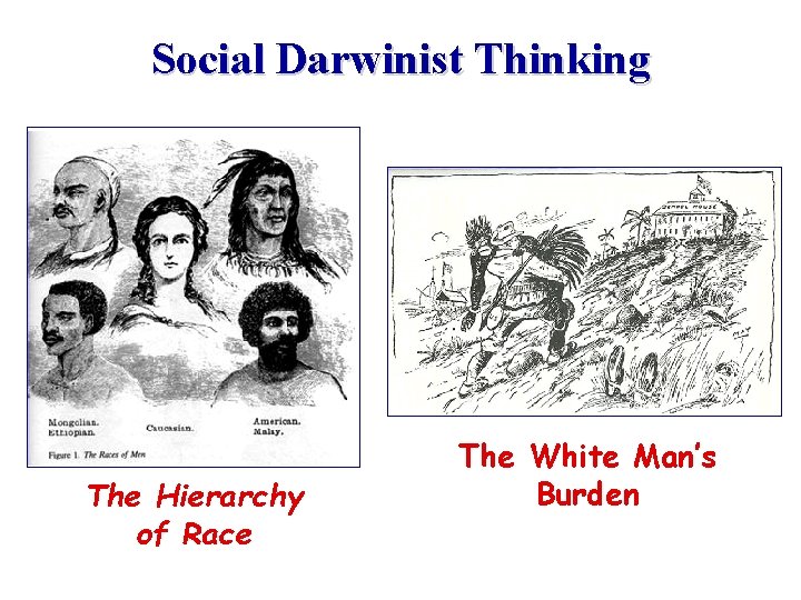 Social Darwinist Thinking The Hierarchy of Race The White Man’s Burden 