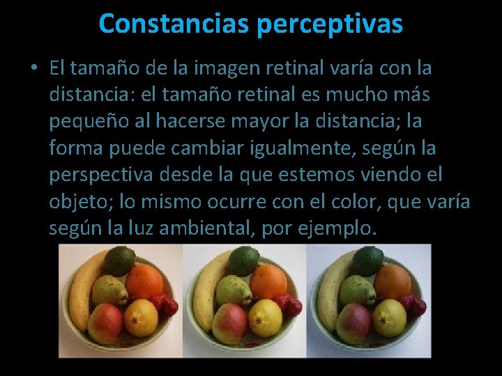 Constancias perceptivas • El tamaño de la imagen retinal varía con la distancia: el