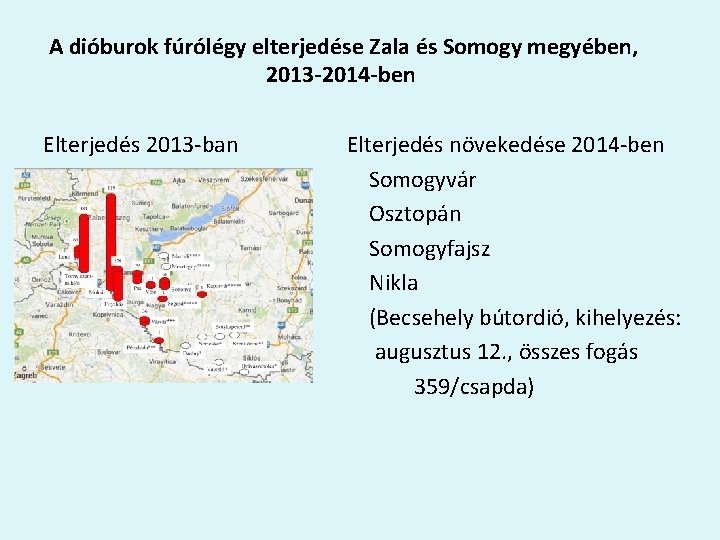  A dióburok fúrólégy elterjedése Zala és Somogy megyében, 2013 -2014 -ben Elterjedés 2013