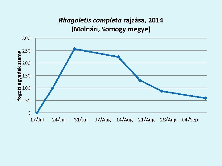 Rhagoletis completa rajzása, 2014 (Molnári, Somogy megye) fogott egyedek száma 300 250 200 150