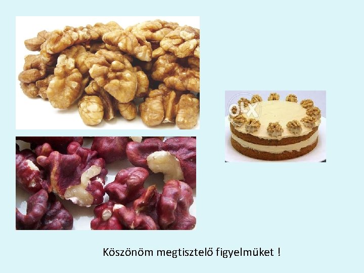 Köszönöm megtisztelő figyelmüket ! 