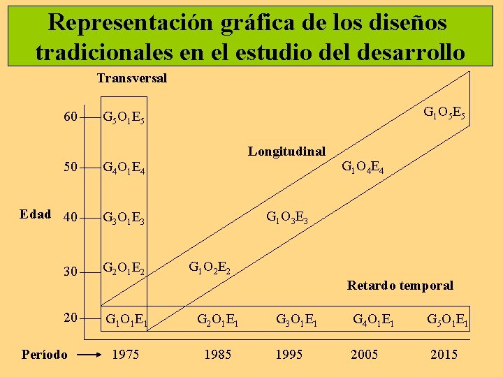 Representación gráfica de los diseños tradicionales en el estudio del desarrollo Transversal 60 G