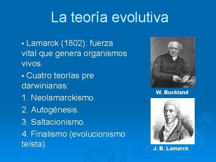 La teoría evolutiva • Lamarck (1802): fuerza vital que genera organismos vivos. • Cuatro