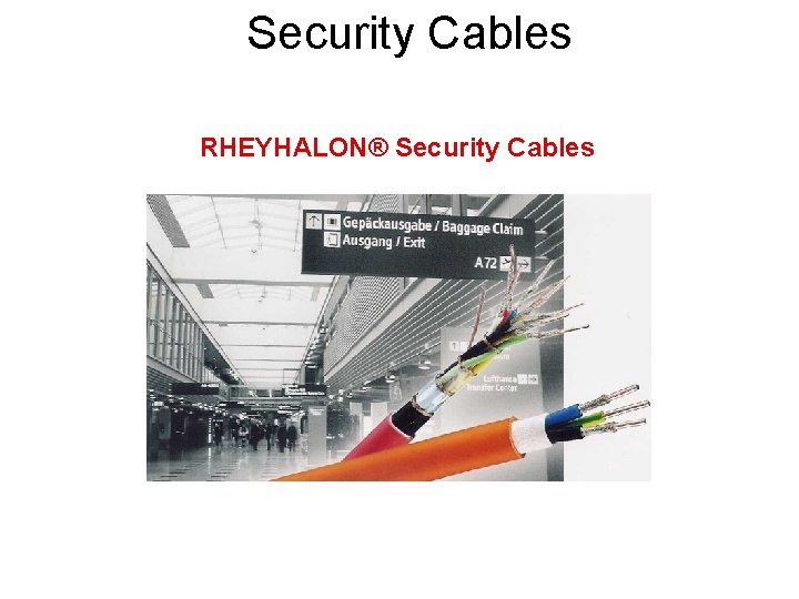 Security Cables RHEYHALON® Security Cables 