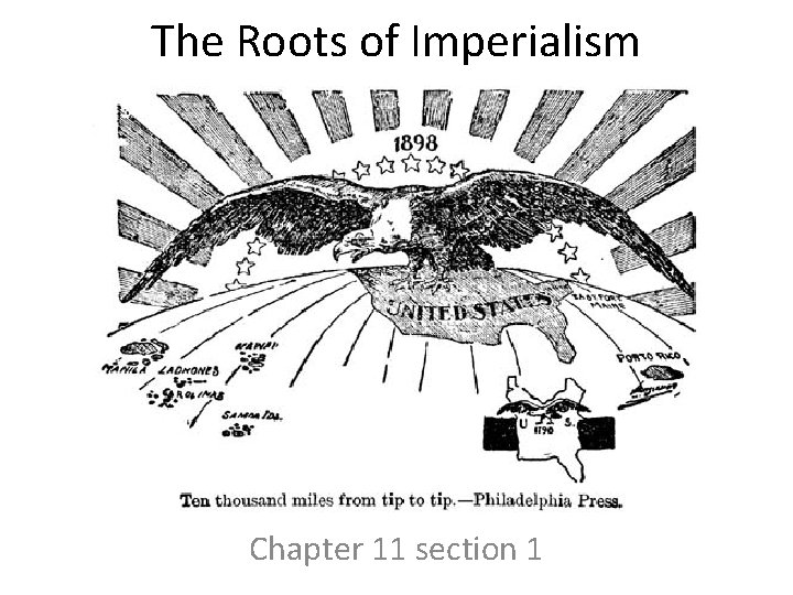 The Roots of Imperialism Chapter 11 section 1 The Roots of Imperialism Chapter 11 section 1