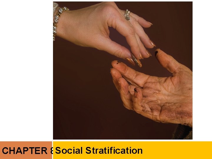 CHAPTER 8 Social Stratification 