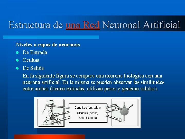 Estructura de una Red Neuronal Artificial Niveles o capas de neuronas l De Entrada
