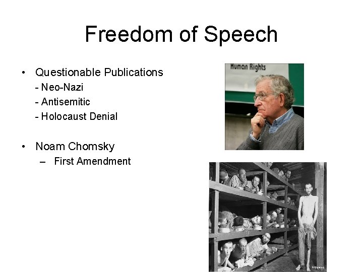 Freedom of Speech • Questionable Publications - Neo-Nazi - Antisemitic - Holocaust Denial •