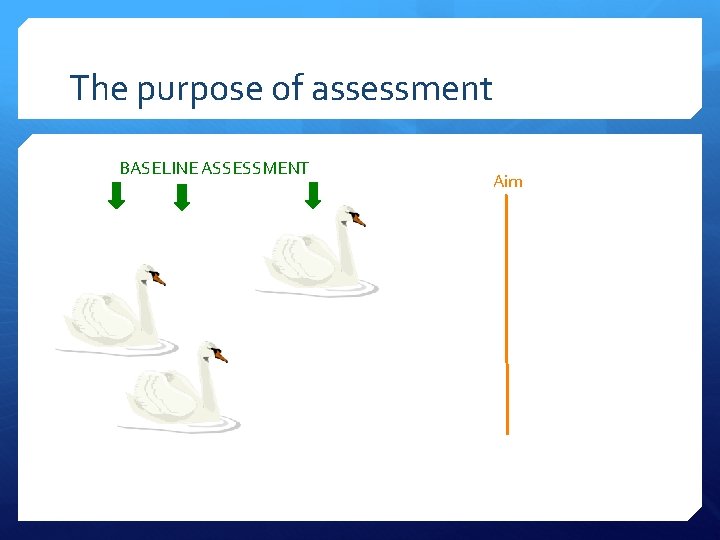 The purpose of assessment BASELINE ASSESSMENT Aim 