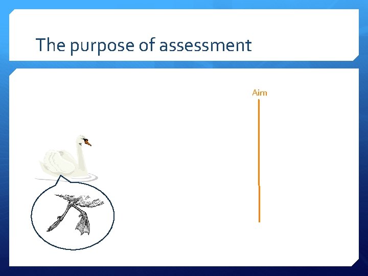 The purpose of assessment Aim 