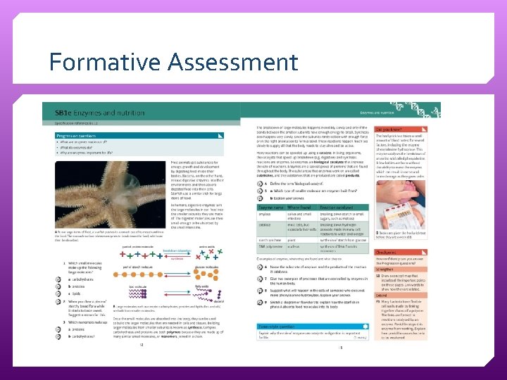 Formative Assessment 