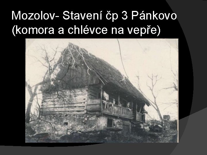 Mozolov- Stavení čp 3 Pánkovo (komora a chlévce na vepře) 