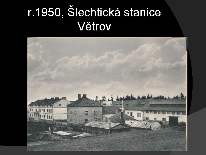 r. 1950, Šlechtická stanice Větrov 