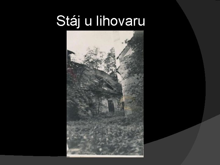 Stáj u lihovaru 