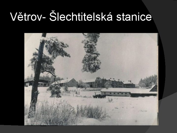 Větrov- Šlechtitelská stanice 