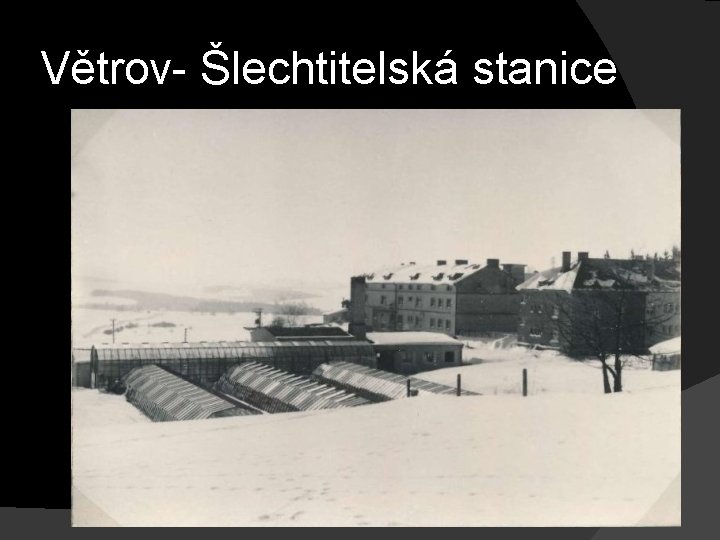 Větrov- Šlechtitelská stanice 