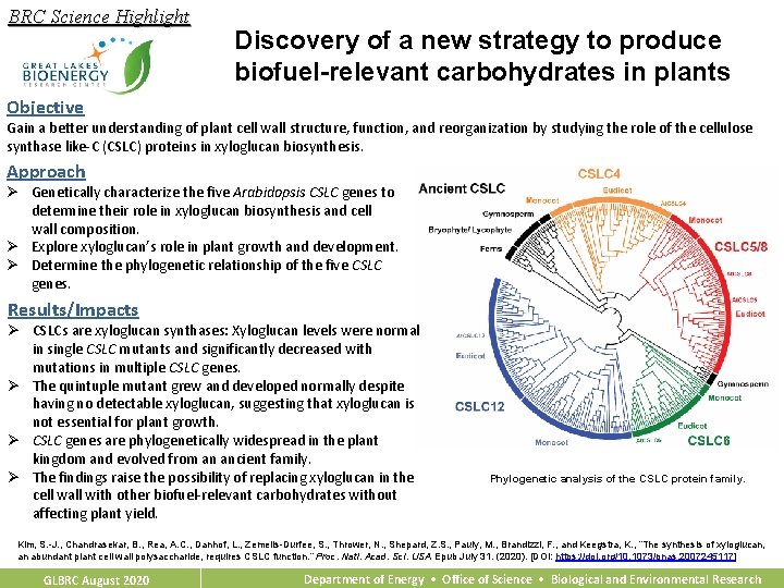 BRC Science Highlight Discovery of a new strategy to produce biofuel-relevant carbohydrates in plants