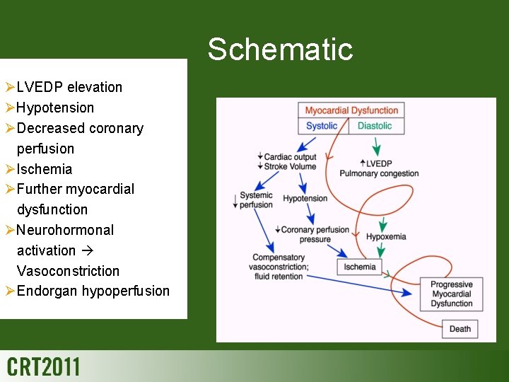 Schematic ØLVEDP elevation ØHypotension ØDecreased coronary perfusion ØIschemia ØFurther myocardial dysfunction ØNeurohormonal activation Vasoconstriction