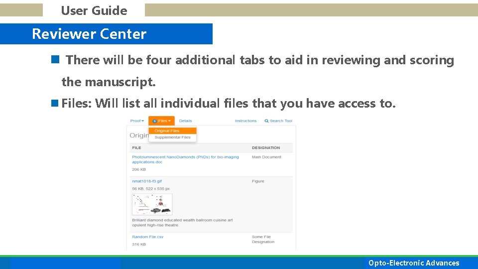 User Guide Reviewer Center n There will be four additional tabs to aid in