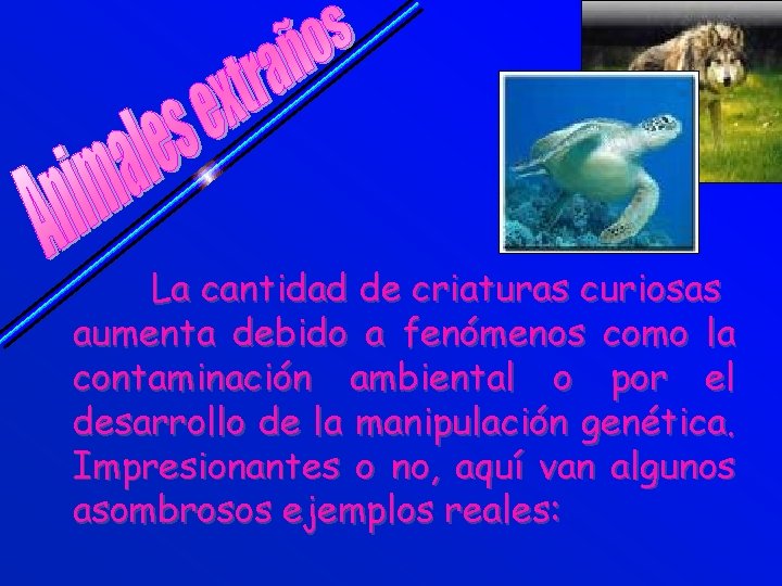 La cantidad de criaturas curiosas aumenta debido a fenómenos como la contaminación ambiental o