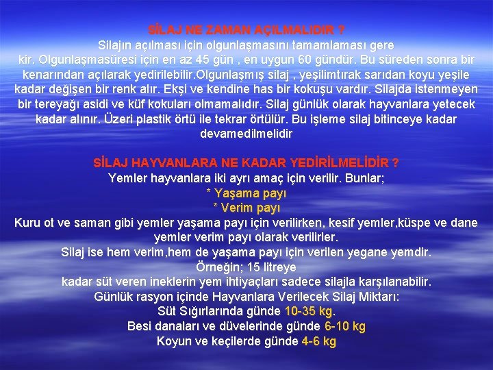 SİLAJ NE ZAMAN AÇILMALIDIR ? Silajın açılması için olgunlaşmasını tamamlaması gere kir. Olgunlaşmasüresi için