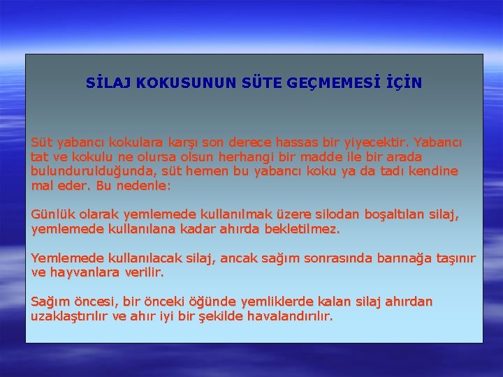 SİLAJ KOKUSUNUN SÜTE GEÇMEMESİ İÇİN Süt yabancı kokulara karşı son derece hassas bir yiyecektir.