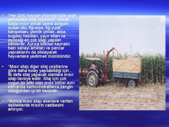  *Her türlü hayvan yiyeceği taze yeşil yemlerden silaj yapılabilir. Ancak başta mısır olmak