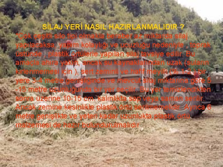 SİLAJ YERİ NASIL HAZIRLANMALIDIR ? *Çok çeşitli silo tipi olmakla beraber az miktarda silaj