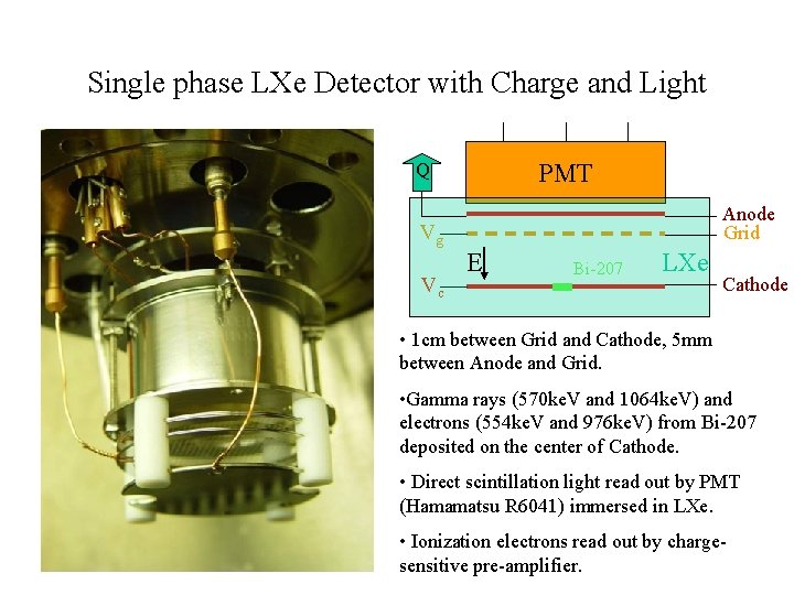 Proportional Light In A Dual Phase Xenon Chamber