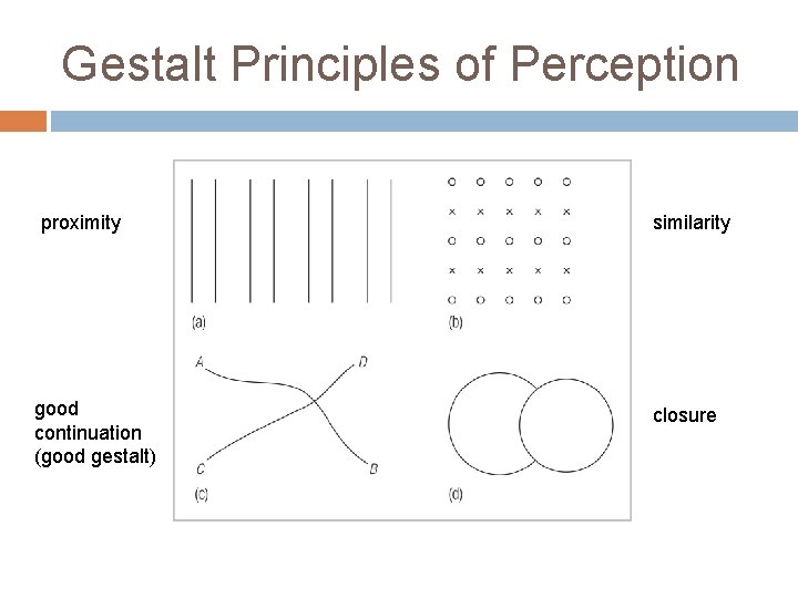 Gestalt Principles of Perception proximity good continuation (good gestalt) similarity closure 