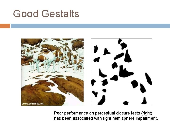 Good Gestalts Poor performance on perceptual closure tests (right) has been associated with right