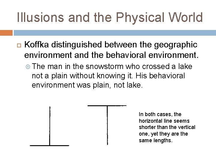 Illusions and the Physical World Koffka distinguished between the geographic environment and the behavioral