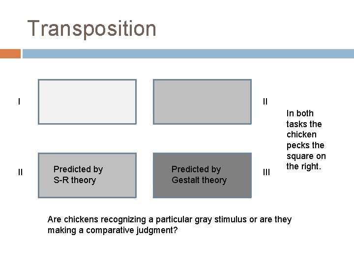 Transposition I II II Predicted by S-R theory Predicted by Gestalt theory III In