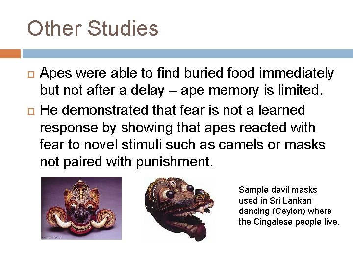 Other Studies Apes were able to find buried food immediately but not after a