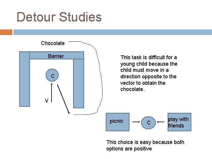 Detour Studies Chocolate Barrier C This task is difficult for a young child because