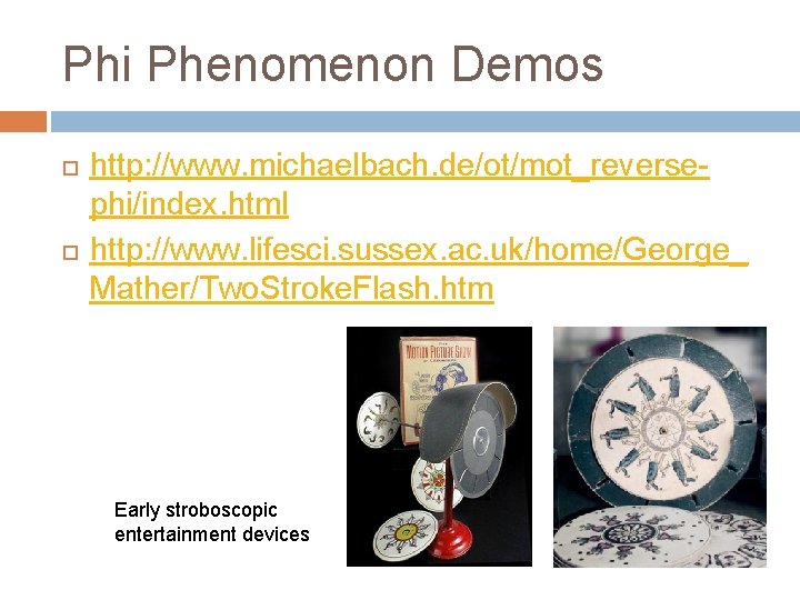 Phi Phenomenon Demos http: //www. michaelbach. de/ot/mot_reversephi/index. html http: //www. lifesci. sussex. ac. uk/home/George_