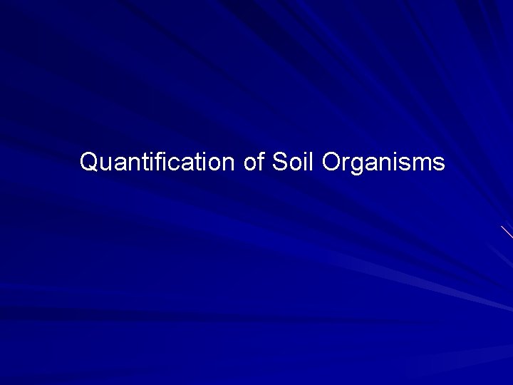 Quantification of Soil Organisms 