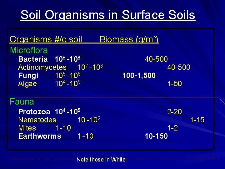 Soil Organisms in Surface Soils Organisms #/g soil Microflora Biomass (g/m 2) Bacteria 108