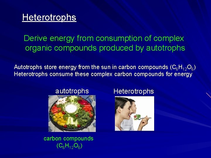 Heterotrophs Derive energy from consumption of complex organic compounds produced by autotrophs Autotrophs store