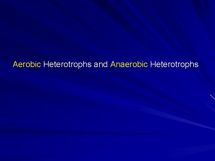 Aerobic Heterotrophs and Anaerobic Heterotrophs 