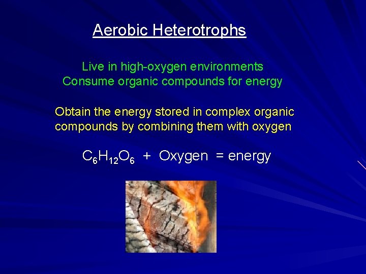 Aerobic Heterotrophs Live in high-oxygen environments Consume organic compounds for energy Obtain the energy Aerobic Heterotrophs Live in high-oxygen environments Consume organic compounds for energy Obtain the energy